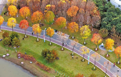 锚定全域旅逛示范区扶植